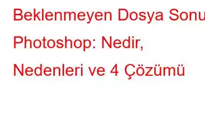 Beklenmeyen Dosya Sonu Photoshop: Nedir, Nedenleri ve 4 Çözümü