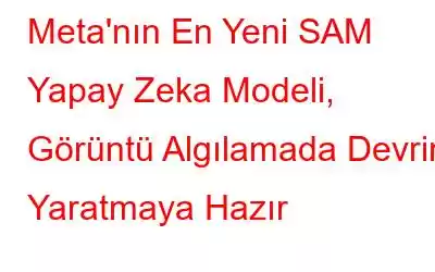 Meta'nın En Yeni SAM Yapay Zeka Modeli, Görüntü Algılamada Devrim Yaratmaya Hazır