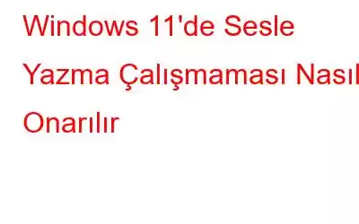 Windows 11'de Sesle Yazma Çalışmaması Nasıl Onarılır