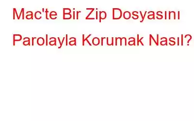 Mac'te Bir Zip Dosyasını Parolayla Korumak Nasıl?