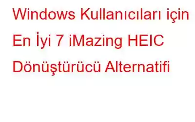 Windows Kullanıcıları için En İyi 7 iMazing HEIC Dönüştürücü Alternatifi