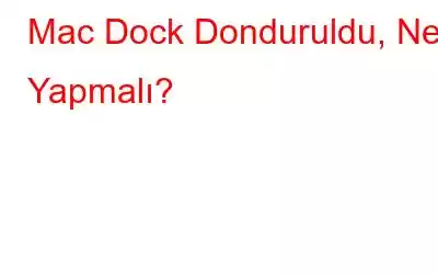 Mac Dock Donduruldu, Ne Yapmalı?