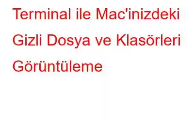 Terminal ile Mac'inizdeki Gizli Dosya ve Klasörleri Görüntüleme