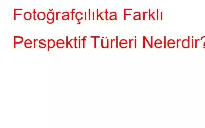 Fotoğrafçılıkta Farklı Perspektif Türleri Nelerdir?