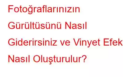 Fotoğraflarınızın Gürültüsünü Nasıl Giderirsiniz ve Vinyet Efekti Nasıl Oluşturulur?