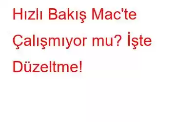 Hızlı Bakış Mac'te Çalışmıyor mu? İşte Düzeltme!