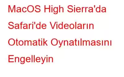 MacOS High Sierra'da Safari'de Videoların Otomatik Oynatılmasını Engelleyin