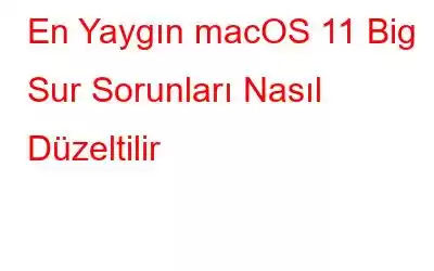 En Yaygın macOS 11 Big Sur Sorunları Nasıl Düzeltilir