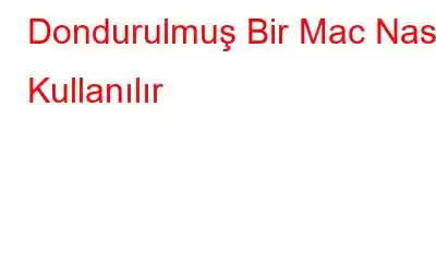 Dondurulmuş Bir Mac Nasıl Kullanılır