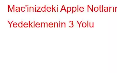 Mac'inizdeki Apple Notlarını Yedeklemenin 3 Yolu