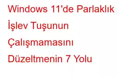 Windows 11'de Parlaklık İşlev Tuşunun Çalışmamasını Düzeltmenin 7 Yolu