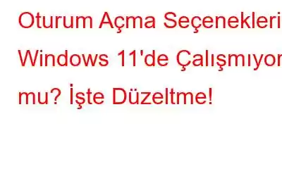 Oturum Açma Seçenekleri Windows 11'de Çalışmıyor mu? İşte Düzeltme!