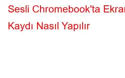 Sesli Chromebook'ta Ekran Kaydı Nasıl Yapılır