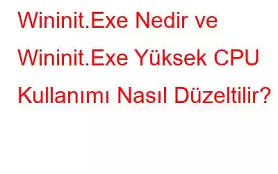 Wininit.Exe Nedir ve Wininit.Exe Yüksek CPU Kullanımı Nasıl Düzeltilir?