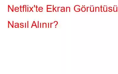 Netflix'te Ekran Görüntüsü Nasıl Alınır?