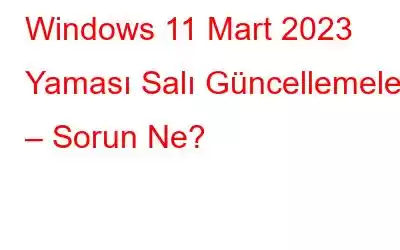 Windows 11 Mart 2023 Yaması Salı Güncellemeleri – Sorun Ne?