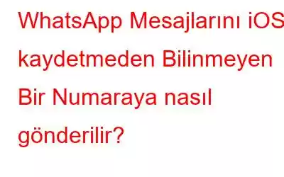 WhatsApp Mesajlarını iOS'a kaydetmeden Bilinmeyen Bir Numaraya nasıl gönderilir?