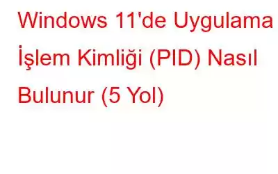 Windows 11'de Uygulama İşlem Kimliği (PID) Nasıl Bulunur (5 Yol)