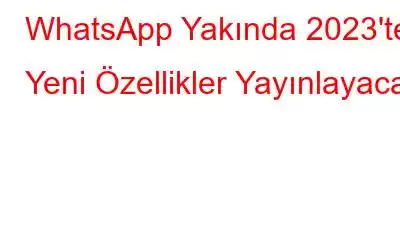 WhatsApp Yakında 2023'te Yeni Özellikler Yayınlayacak