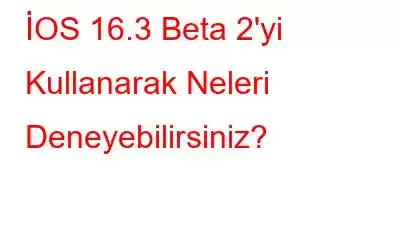 İOS 16.3 Beta 2'yi Kullanarak Neleri Deneyebilirsiniz?