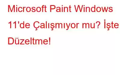 Microsoft Paint Windows 11'de Çalışmıyor mu? İşte Düzeltme!