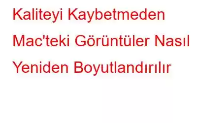 Kaliteyi Kaybetmeden Mac'teki Görüntüler Nasıl Yeniden Boyutlandırılır