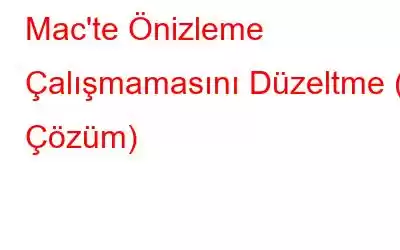 Mac'te Önizleme Çalışmamasını Düzeltme (6 Çözüm)