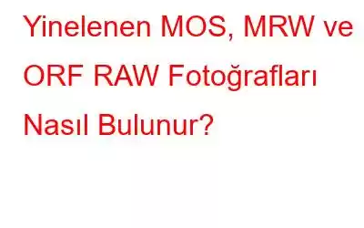 Yinelenen MOS, MRW ve ORF RAW Fotoğrafları Nasıl Bulunur?