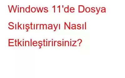 Windows 11'de Dosya Sıkıştırmayı Nasıl Etkinleştirirsiniz?