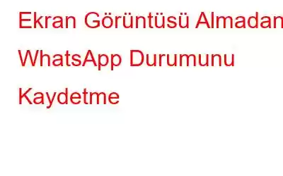 Ekran Görüntüsü Almadan WhatsApp Durumunu Kaydetme