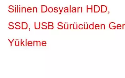 Silinen Dosyaları HDD, SSD, USB Sürücüden Geri Yükleme