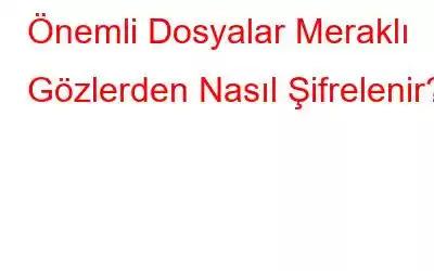 Önemli Dosyalar Meraklı Gözlerden Nasıl Şifrelenir?