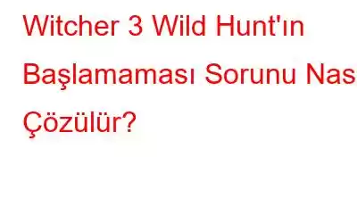 Witcher 3 Wild Hunt'ın Başlamaması Sorunu Nasıl Çözülür?