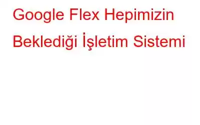 Google Flex Hepimizin Beklediği İşletim Sistemi