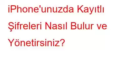 iPhone'unuzda Kayıtlı Şifreleri Nasıl Bulur ve Yönetirsiniz?