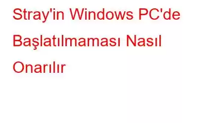 Stray'in Windows PC'de Başlatılmaması Nasıl Onarılır