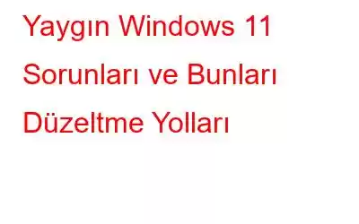 Yaygın Windows 11 Sorunları ve Bunları Düzeltme Yolları