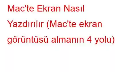 Mac'te Ekran Nasıl Yazdırılır (Mac'te ekran görüntüsü almanın 4 yolu)