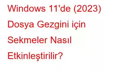 Windows 11'de (2023) Dosya Gezgini için Sekmeler Nasıl Etkinleştirilir?