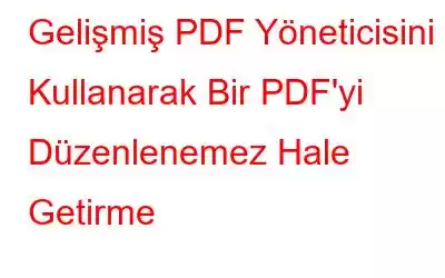 Gelişmiş PDF Yöneticisini Kullanarak Bir PDF'yi Düzenlenemez Hale Getirme