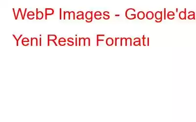 WebP Images - Google'dan Yeni Resim Formatı