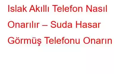 Islak Akıllı Telefon Nasıl Onarılır – Suda Hasar Görmüş Telefonu Onarın