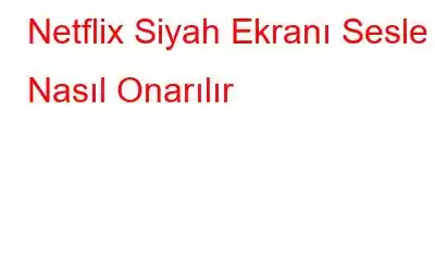 Netflix Siyah Ekranı Sesle Nasıl Onarılır