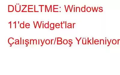 DÜZELTME: Windows 11'de Widget'lar Çalışmıyor/Boş Yükleniyor