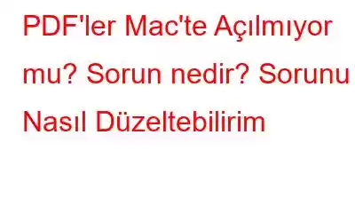 PDF'ler Mac'te Açılmıyor mu? Sorun nedir? Sorunu Nasıl Düzeltebilirim