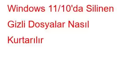 Windows 11/10'da Silinen Gizli Dosyalar Nasıl Kurtarılır