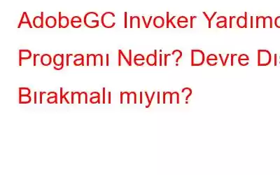 AdobeGC Invoker Yardımcı Programı Nedir? Devre Dışı Bırakmalı mıyım?