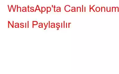 WhatsApp'ta Canlı Konum Nasıl Paylaşılır