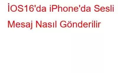 İOS16'da iPhone'da Sesli Mesaj Nasıl Gönderilir