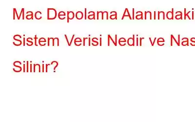 Mac Depolama Alanındaki Sistem Verisi Nedir ve Nasıl Silinir?